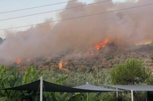 Φωτιά στη Ζάκυνθο: Έχει ζητηθεί εκκένωση της περιοχής Τσιλιβί - Εστάλη μήνυμα από το 112 – Κοντά σε σπίτια καίει η πυρκαγιά ΦΩΤΟ