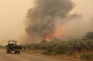 Πυρκαγιές: Αναζωπυρώσεις στην ευρύτερη περιοχή του Έβρου - Δεκάδες σε όλη τη χώρα