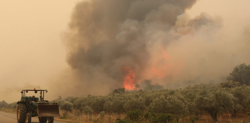 Πυρκαγιές: Αναζωπυρώσεις στην ευρύτερη περιοχή του Έβρου - Δεκάδες σε όλη τη χώρα