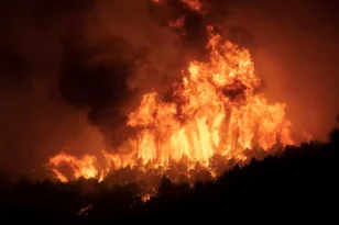 Φωτιά στη Ροδόπη: Υπό έλεγχο η πυρκαγιά στα Παγούρια – Ποια η εικόνα στη Δρανιά