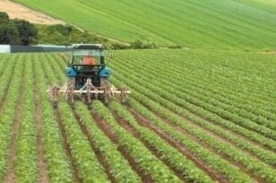 ΟΠΕΚΑ: Ποιο επίδομα θα πληρωθεί την Πέμπτη σε αγρότισσες