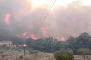 Φωτιά στην Αλεξανδρούπολη: Μήνυμα του 112 για εκκένωση άλλων 4 οικισμών