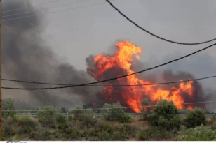 Meteo: «Οπισθοδρομούσα» η πυρκαγιά στην Πάρνηθα