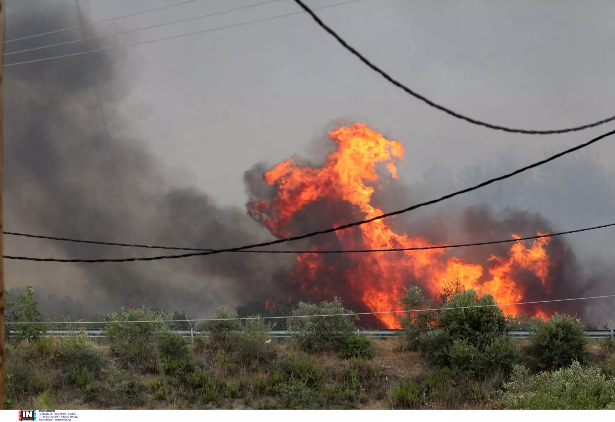 Φωτιά στην Αλεξανδρούπολη: Στις φλόγες Δίκελλα και Μεσημβρία – Νέο μήνυμα του 112 για εκκένωση της Λεπτοκαρυάς ΦΩΤΟ - ΒΙΝΤΕΟ