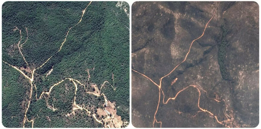 Αλεξανδρούπολη: Αποκαρδιωτικές εικόνες από δορυφόρο - Το πριν και το μετά της πυρκαγιάς