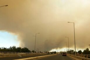 Φωτιά στην Αλεξανδρούπολη: Αποκαταστάθηκε η κυκλοφορία στην Εγνατία Οδό - Δυνάμεις από Κύπρο και Ρουμανία στην περιοχή