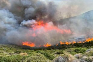 Πυρκαγιές: Συνολικά 1,7 εκατ. στρέμματα δασών έγιναν στάχτη από την αρχή του έτος