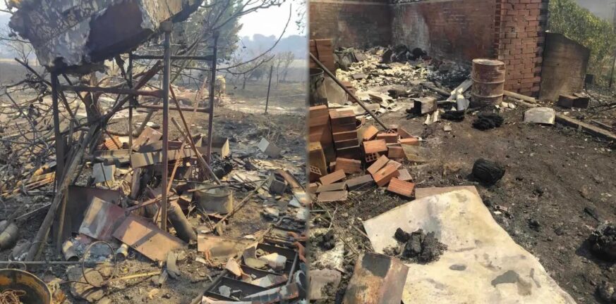 Φωτιά στην Αλεξανδρούπολη: Απανθρακώθηκαν 910 ζώα, τεράστια ζημιά σε υποδομές