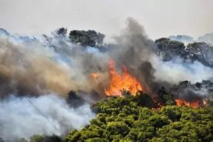 Φωτιά στον Έβρο: Διασώθηκαν από τις φλόγες 25 παράτυποι μετανάστες στο δάσος της Δαδιάς