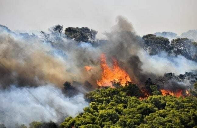 Φωτιά στον Έβρο: Αυτά είναι τα 13 μέτρα στήριξης για τους πυρόπληκτους - Μήνυμα του 112 - Εκκενώνεται ο οικισμός Σιδηρώ