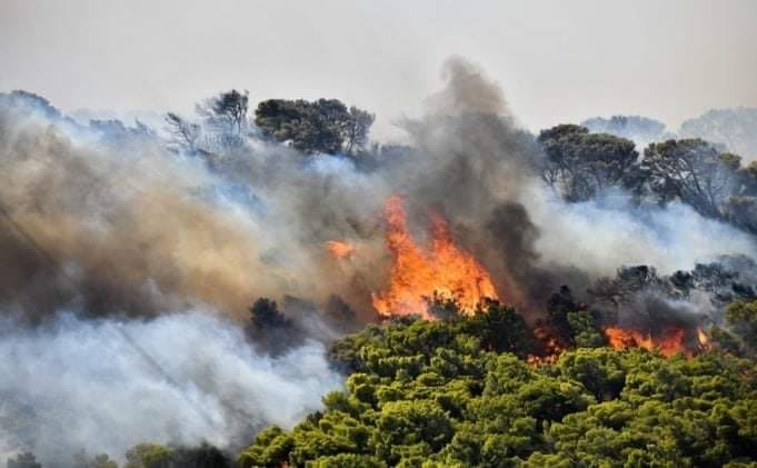 Φωτιές στην Ελλάδα: Συνεχίζεται η μάχη με τις φλόγες σε Έβρο και Πάρνηθα