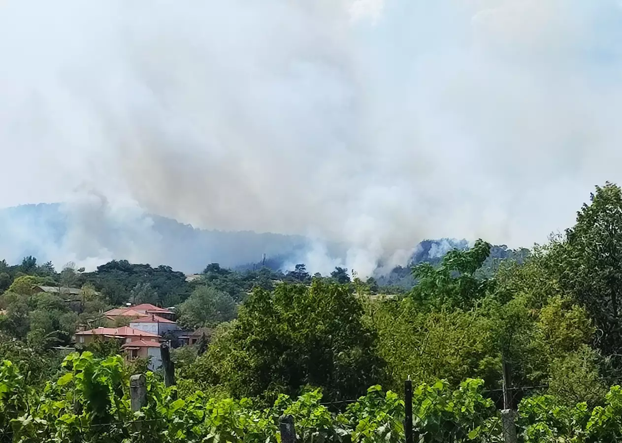 Φωτιά στον Έβρο: Αγωνία για το δάσος της Δαδιάς, στις φλόγες για 6η ημέρα – Στάχτη 130.000 στρέμματα!