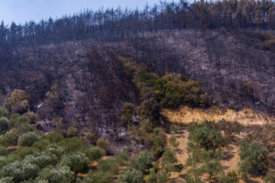Έβρος: Αναστέλλονται για ένα χρόνο οι οικονομικές δραστηριότητες στη δασική περιοχή που έκαψε η φωτιά