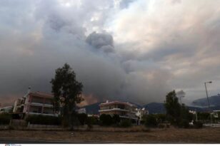 Φωτιά στην Πάρνηθα: Προκλήθηκε πυρονέφος όταν οι φλόγες μπήκαν στην χαράδρα