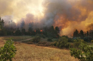 Φωτιά στη Χαλκιδική: Καίει σε γεωργική έκταση στο Βατοπέδι Ορμύλιας