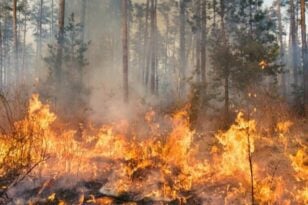 Νέες φωτιές σε Καβάλα και Φάρσαλα - Διαρκείς μάχες της Πυροσβεστικής σε όλη τη χώρα