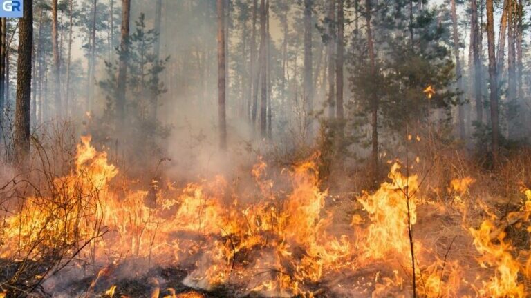 Ήπειρος: Φωτιά από κεραυνό ανάμεσα σε Κόνιτσα Ιωαννίνων και Σαμαρίνα Γρεβενών