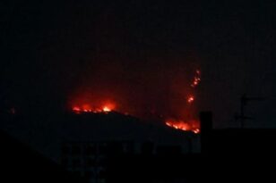 Φωτιά στην Εύβοια στο χωριό Οξύλιθος - ΦΩΤΟ