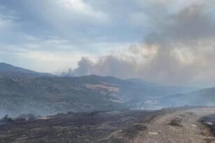 Φωτιά στον Έβρο: Σε ύφεση μετά από 16 ημέρες - 49 νέες πυρκαγιές το τελευταίο 24ωρο