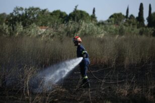 Άργος: Φωτιά σε γεωργική έκταση – Επιχειρούν και εναέρια μέσα