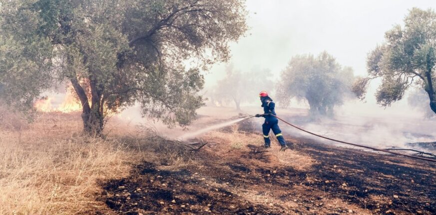 Πυρκαγιά έξω από χωριό στη Ροδόπη