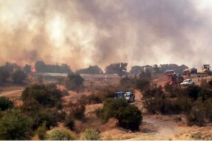 Πυρκαγιές: Μάχη με τις αναζωπυρώσεις σε Έβρο και Ροδόπη - Συνολικά 74 πυρκαγιές σε όλη τη χώρα