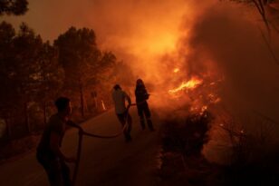 Φωτιά στον Έβρο: Συνεχίζουν για 13η μέρα το καταστροφικό τους έργο οι φλόγες – Πώς είναι η κατάσταση στα Φάρσαλα