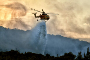 Εύβοια: Μεγάλη φωτιά σε δύσβατη περιοχή - Συναγερμός στις δυνάμεις της Πυροσβεστικής - ΦΩΤΟ
