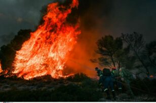 Πυρκαγιές: Μαίνεται η πύρινη κόλαση στον Έβρο, νέο μήνυμα από το 112 για το Σουφλί - 68 πυρκαγιές σε όλη τη χώρα
