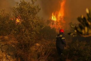 Κικίλιας: Κρίσιμη η κατάσταση με την φωτιά στην Πάρνηθα – Πρωτοφανής κατάσταση – Σε 5 ημέρες είχαμε 355 δασικές πυρκαγιές