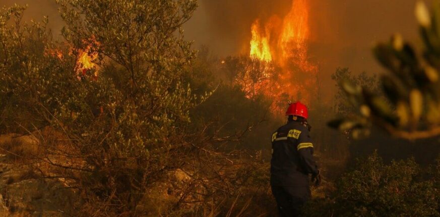 Κοζάνη: Πυρκαγιά κοντά σε στρατόπεδο