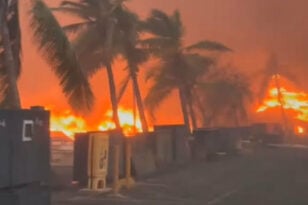 Φωτιές στη Χαβάη: Πηδούσαν στη θάλασσα για να σωθούν - «Καζάνι που βράζει» ο Ειρηνικός - ΒΙΝΤΕΟ
