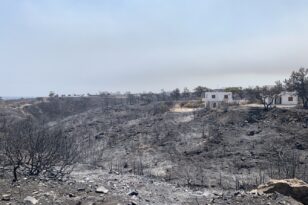 Πυρκαγιές 2023: Διευκρινίσεις για τις ενισχύσεις παραγωγών που επλήγησαν από τις φωτιές