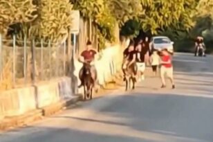 Λέσβος: Παιδιά μαστιγώνουν γαϊδούρια σε αυτοσχέδιους αγώνες - ΒΙΝΤΕΟ