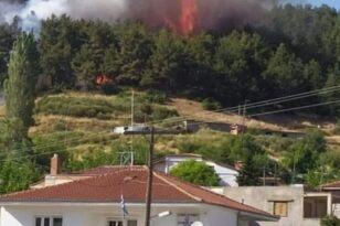 Γρεβενά: Υπό έλεγχο τέθηκε η φωτιά στη Δεσκάτη - Καταστράφηκε πευκοδάσος