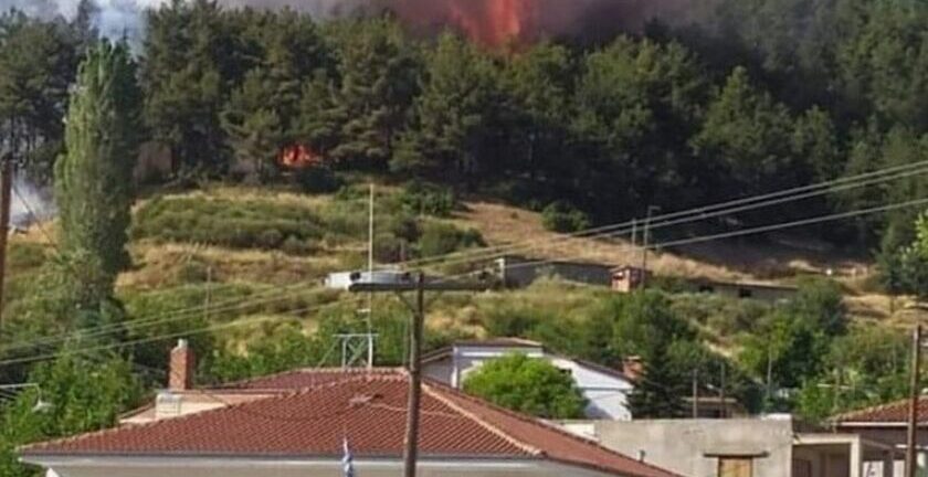 Γρεβενά: Υπό έλεγχο τέθηκε η φωτιά στη Δεσκάτη - Καταστράφηκε πευκοδάσος