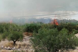 Ιεράπετρα: Σε ύφεση η φωτιά στην περιοχή Στόμιο - Ισχυρές δυνάμεις της Πυροσβεστικής - ΦΩΤΟ