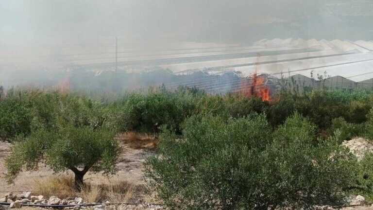 Ιεράπετρα: Σε ύφεση η φωτιά στην περιοχή Στόμιο - Ισχυρές δυνάμεις της Πυροσβεστικής - ΦΩΤΟ