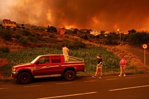 Φωτιά στον Έβρο: Τέταρτη νύχτα «κόλαση» στην Αλεξανδρούπολη – Μάχη με τις φλόγες σε Ροδόπη και Καβάλα