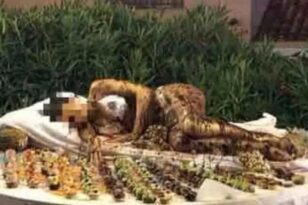 Ιταλία: Εξοργιστική εικόνα σε ξενοδοχείο – Εργαζόμενη καλυμμένη με σοκολάτα ανάμεσα στα γλυκά του μπουφέ