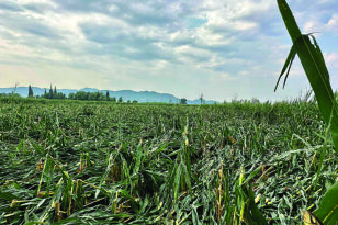 Αγρίνιο: Σάρωσαν τα μπουρίνια - Σημαντικές καταστροφές σε καλλιέργειες