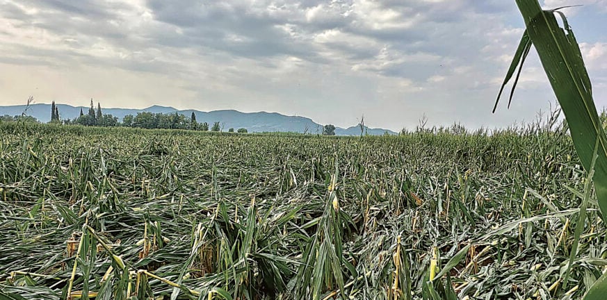 Αγρίνιο: Σάρωσαν τα μπουρίνια - Σημαντικές καταστροφές σε καλλιέργειες