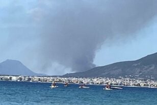 Μεσσηνία: Μεγάλη πυρκαγιά στην Ασπροπουλιά - Ήχησε το «112»