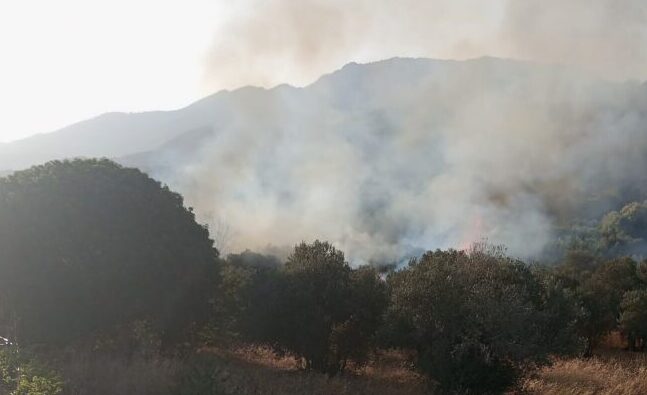 αστυνομικός