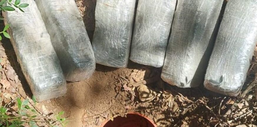 Αχαΐα: Εκρυβαν ναρκωτικά ακόμα και σε κορμό δένδρου! Την Πέμπτη απολογούνται τα αδέλφια ΦΩΤΟ