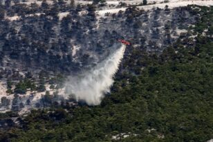 Φωτιές στην Αττική: Μέσα σε 7 χρόνια έχει γίνει στάχτη το 33% των δασών