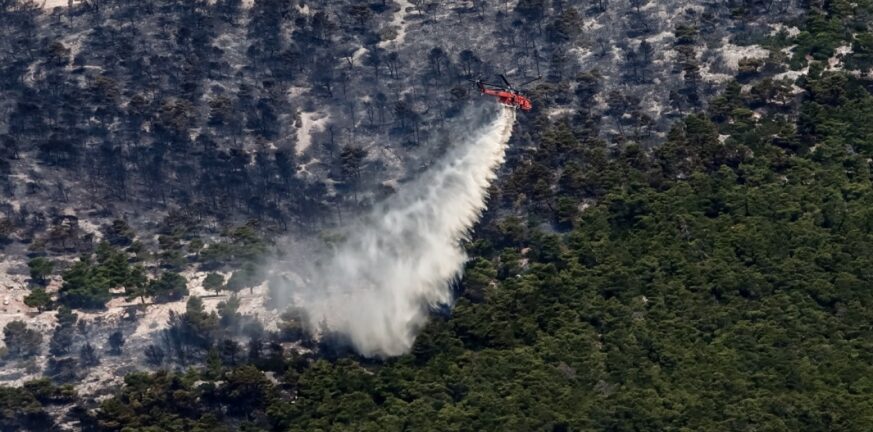 Φωτιές στην Αττική: Μέσα σε 7 χρόνια έχει γίνει στάχτη το 33% των δασών