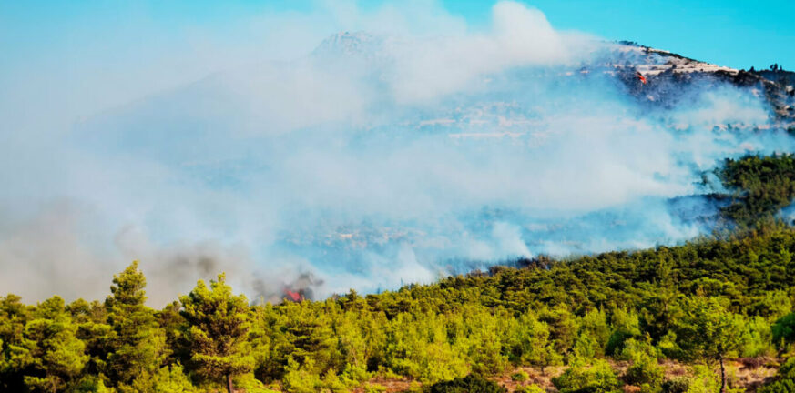 Φωτιά στη Πάρνηθα: Συνεχείς αναζωπυρώσεις, νέα μηνύματα του 112 - Εκκενώνονται και οι Θρακομακεδόνες