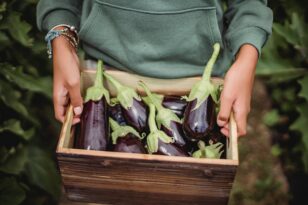 Μελιτζάνα: Το λαχανικό που ρίχνει την χοληστερόλη και βοηθά στην υγεία της καρδιάς