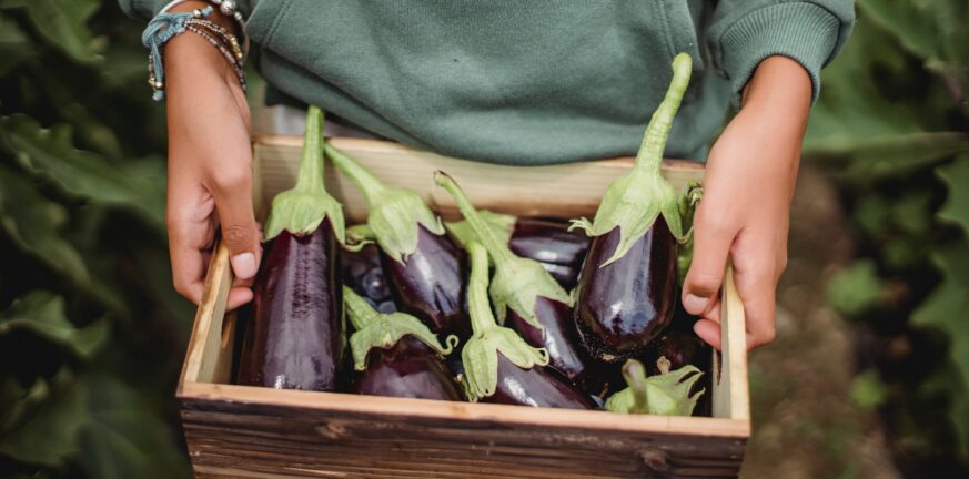Μελιτζάνα: Το λαχανικό που ρίχνει την χοληστερόλη και βοηθά στην υγεία της καρδιάς
